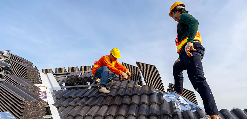 Professional Roofing Services in Madison, WI