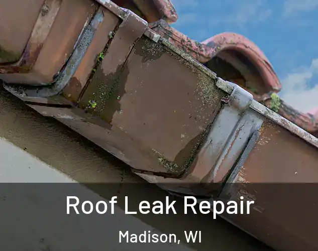  Roof Leak Repair Madison, WI